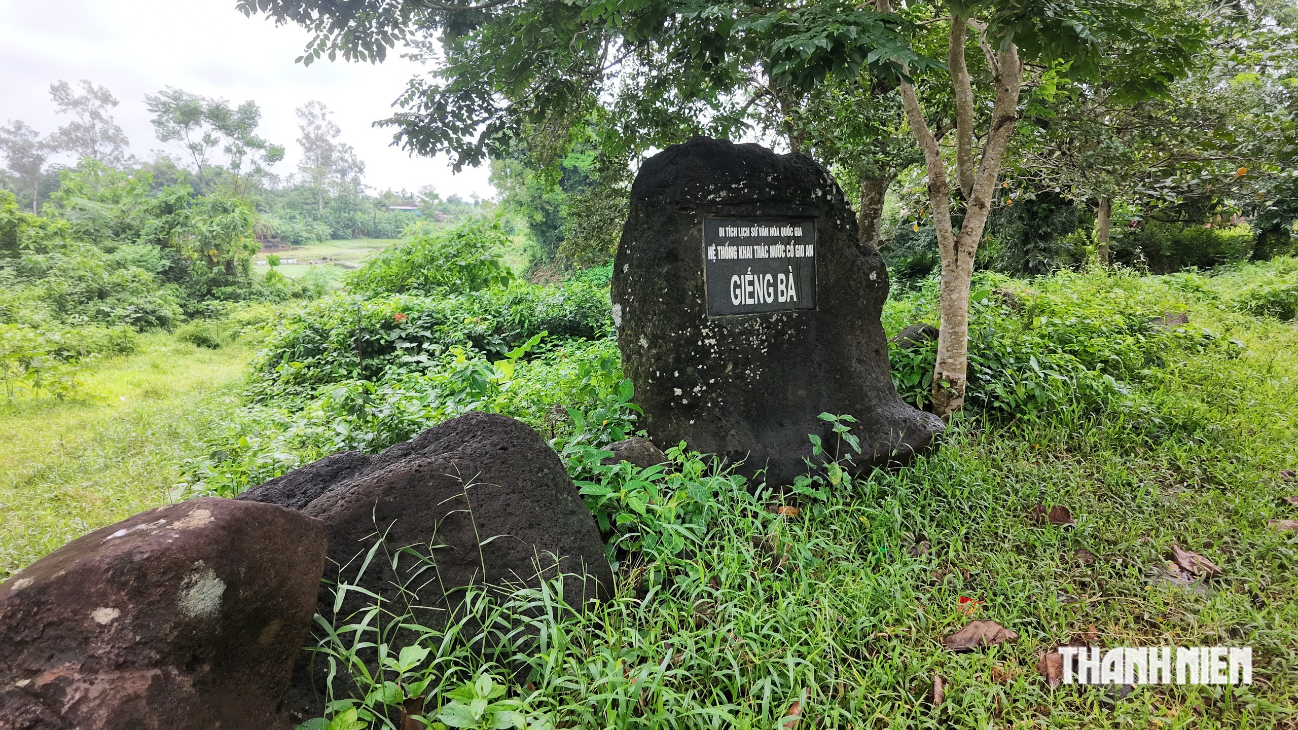 Mối lương duyên 'độc nhất vô nhị' giữa giếng cổ Chăm ngàn năm và loại rau lạ- Ảnh 2.
