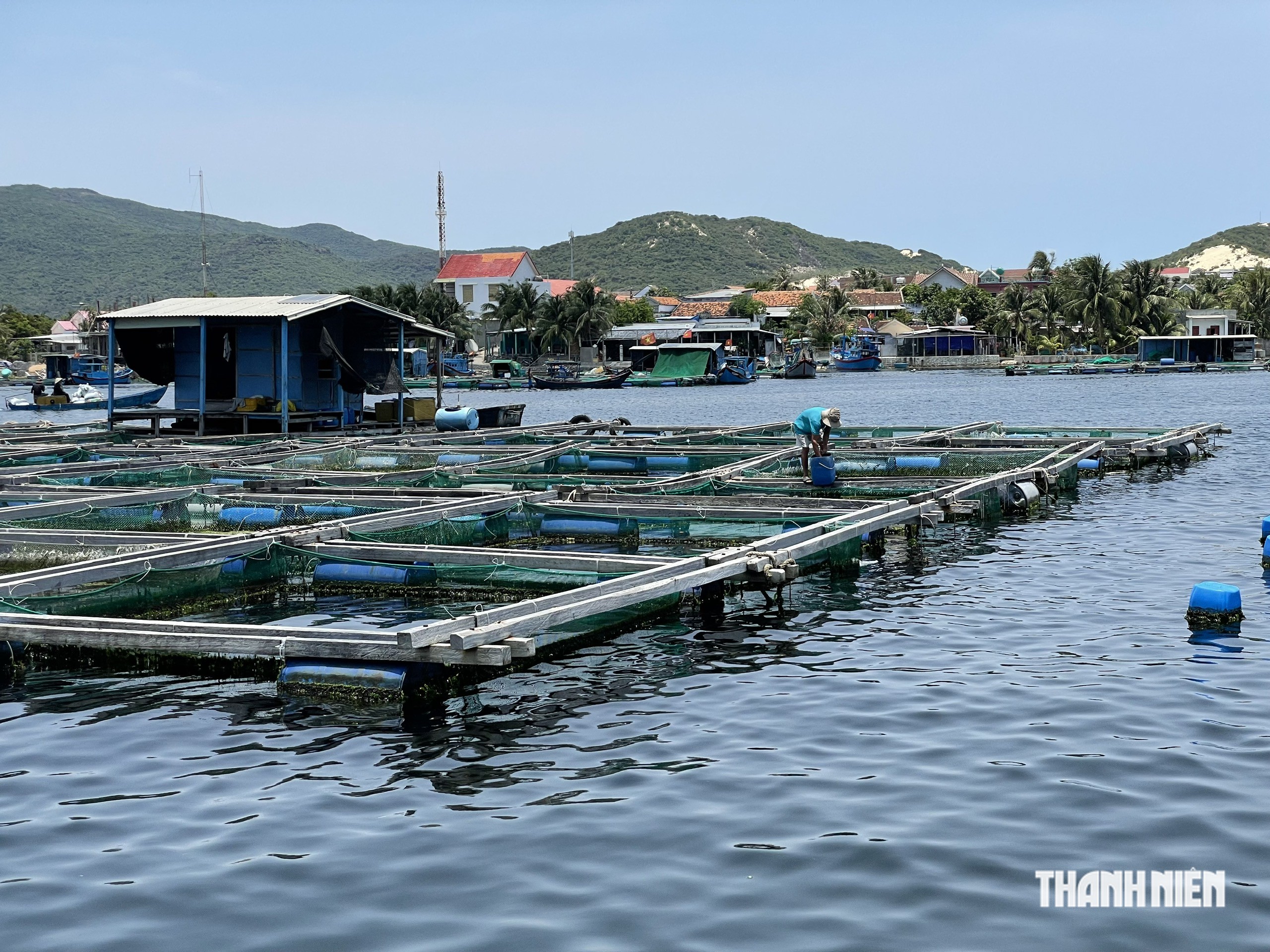 Từ ký ức Damrey đến mùa bão mới - Ảnh 2.