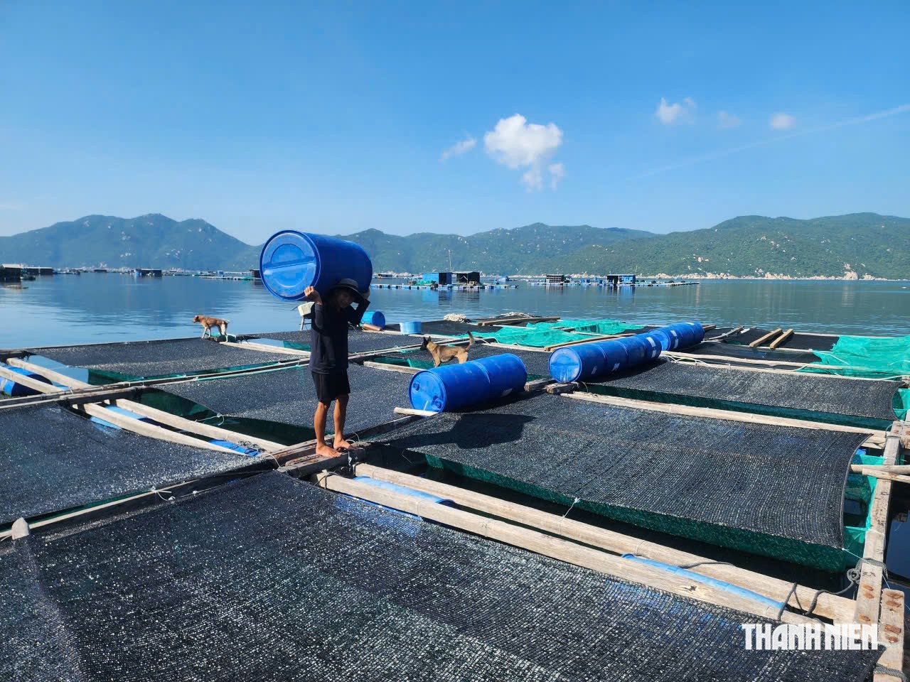 Từ ký ức Damrey đến mùa bão mới - Ảnh 4.