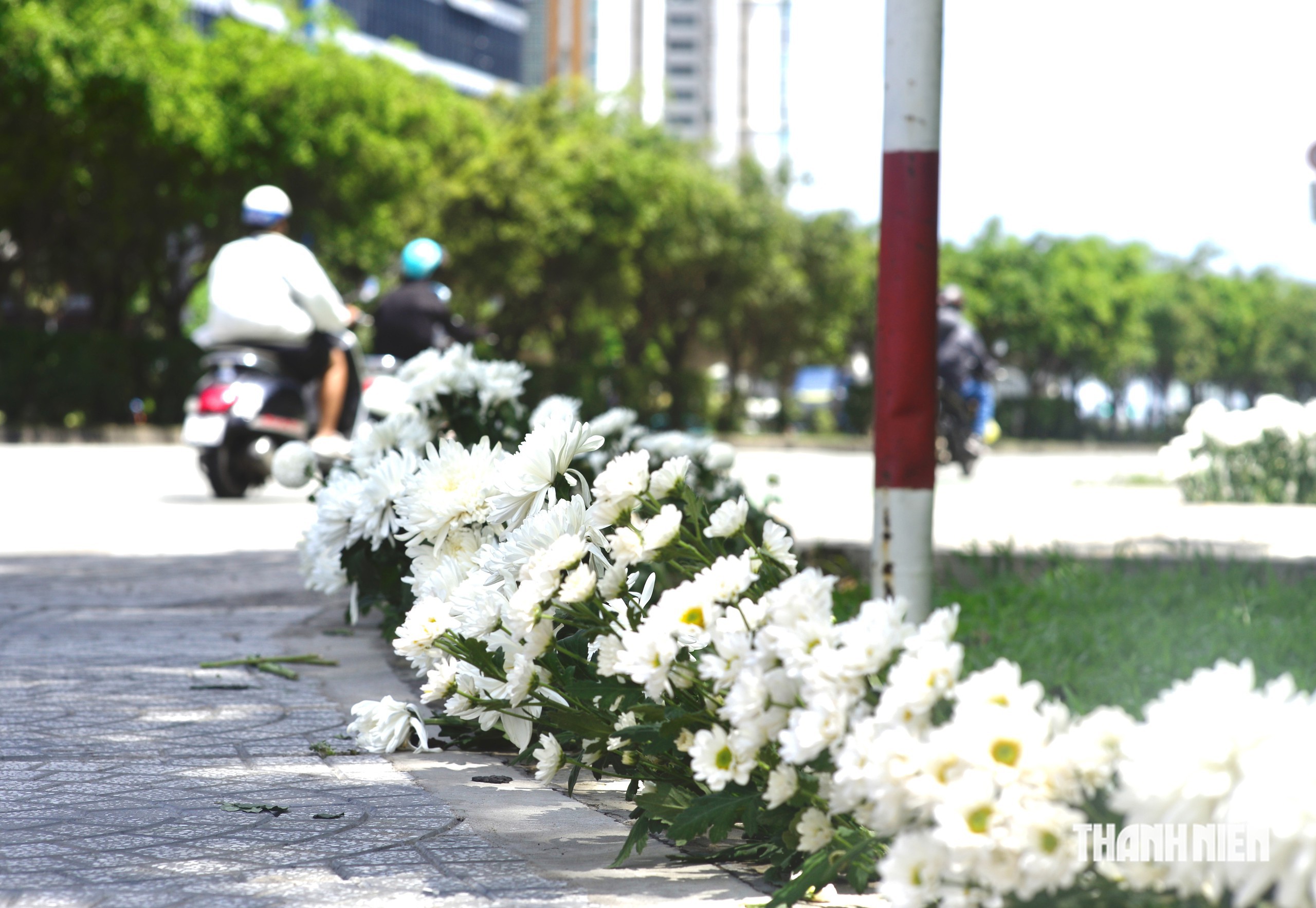 14.10  - Ảnh 2.