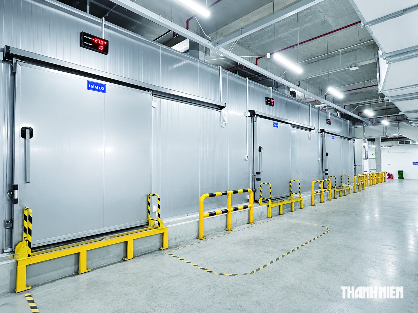 Kho lạnh số và cuộc đua nâng sức cạnh tranh hàng Việt - Ảnh 5.