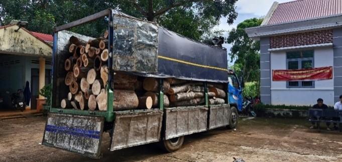Phát hiện 451 cây rừng bị đốn hạ trái phép ở Gia Lai- Ảnh 2.