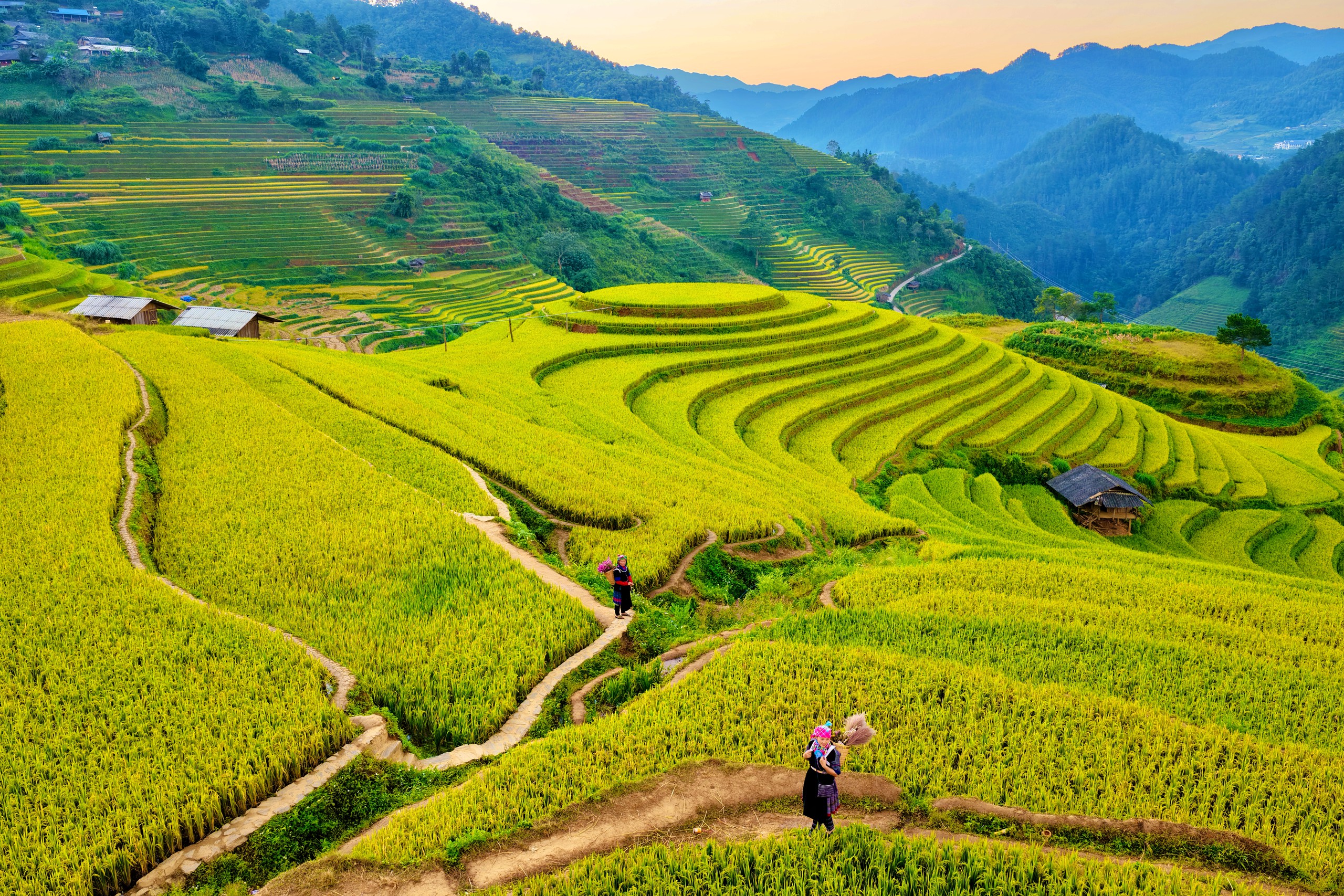 10 năm chụp ảnh ở đỉnh Mâm Xôi ở Mù Cang Chải - Ảnh 6.
