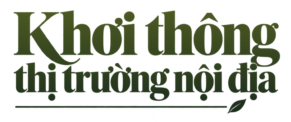 Doanh nhân Phùng Quốc Mẫn: Khát vọng tự cường và những trăn trở về ngành gỗ, nội thất Việt Nam - Ảnh 5.