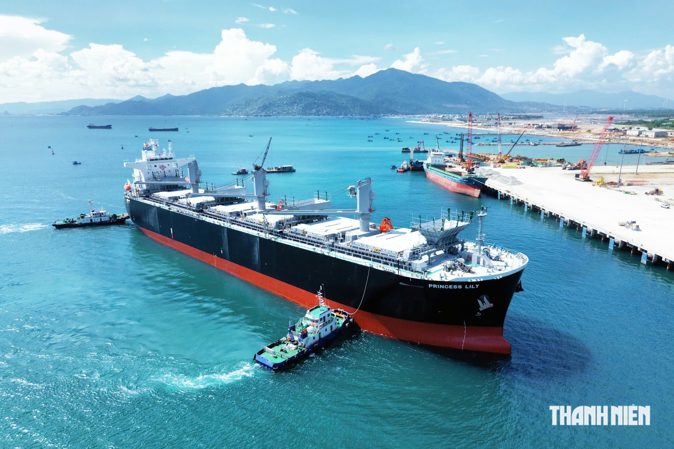 Cảng Trung Nam C&agrave; N&aacute; đ&oacute;n chuyến t&agrave;u chở dăm gỗ đầu ti&ecirc;n đi Nhật Bản- Ảnh 1.