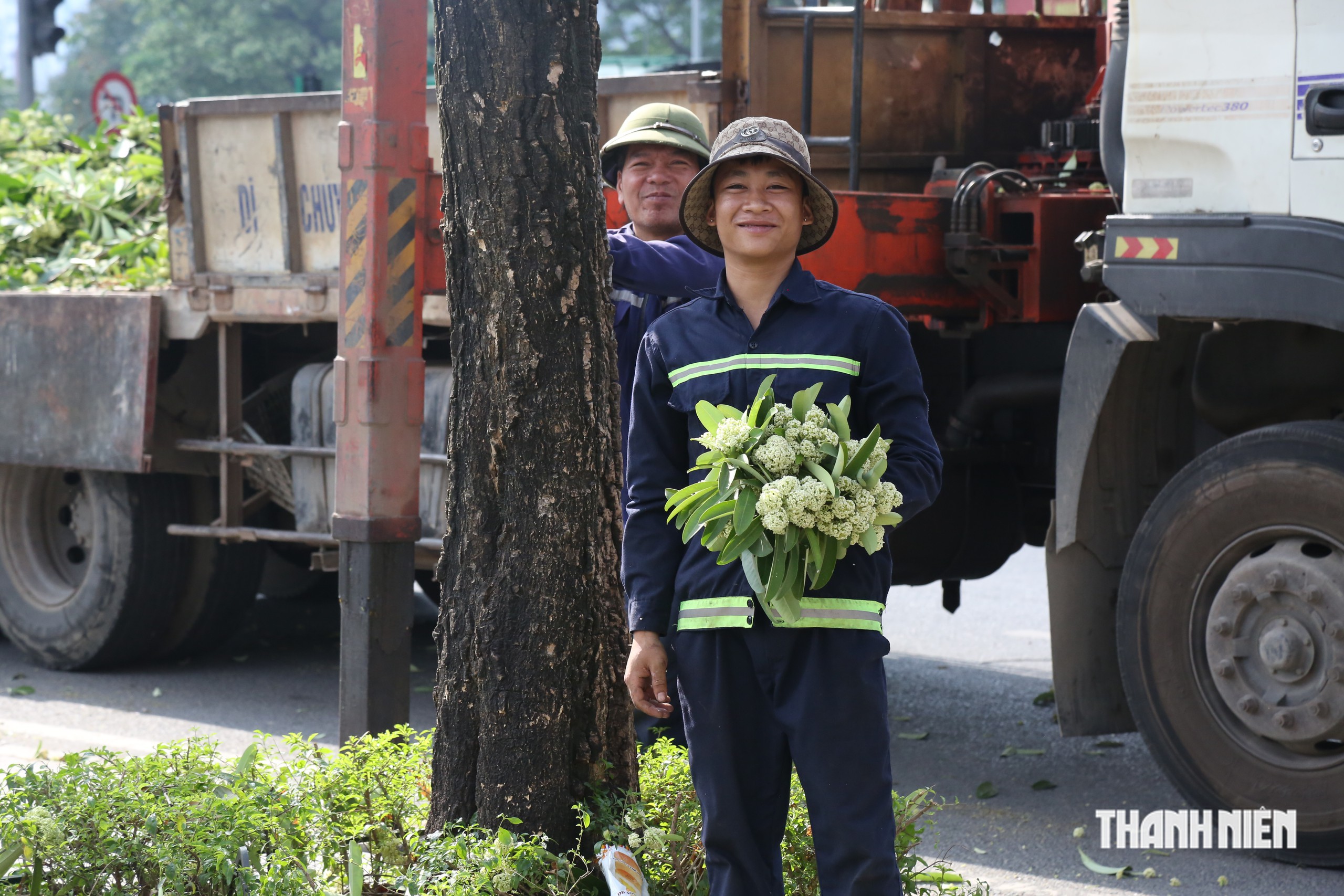 Hà Nội cắt tỉa hoa sữa, người dân thích thú nhặt cành to về cắm- Ảnh 6.