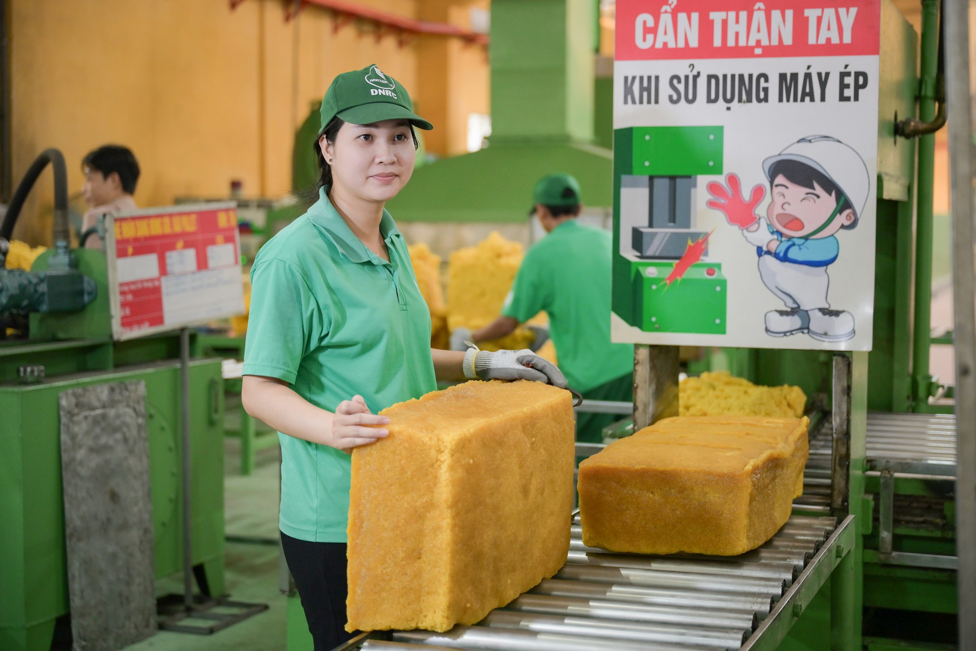 Ngành cao su Việt Nam phát triển xanh và bền vững - Ảnh 4.