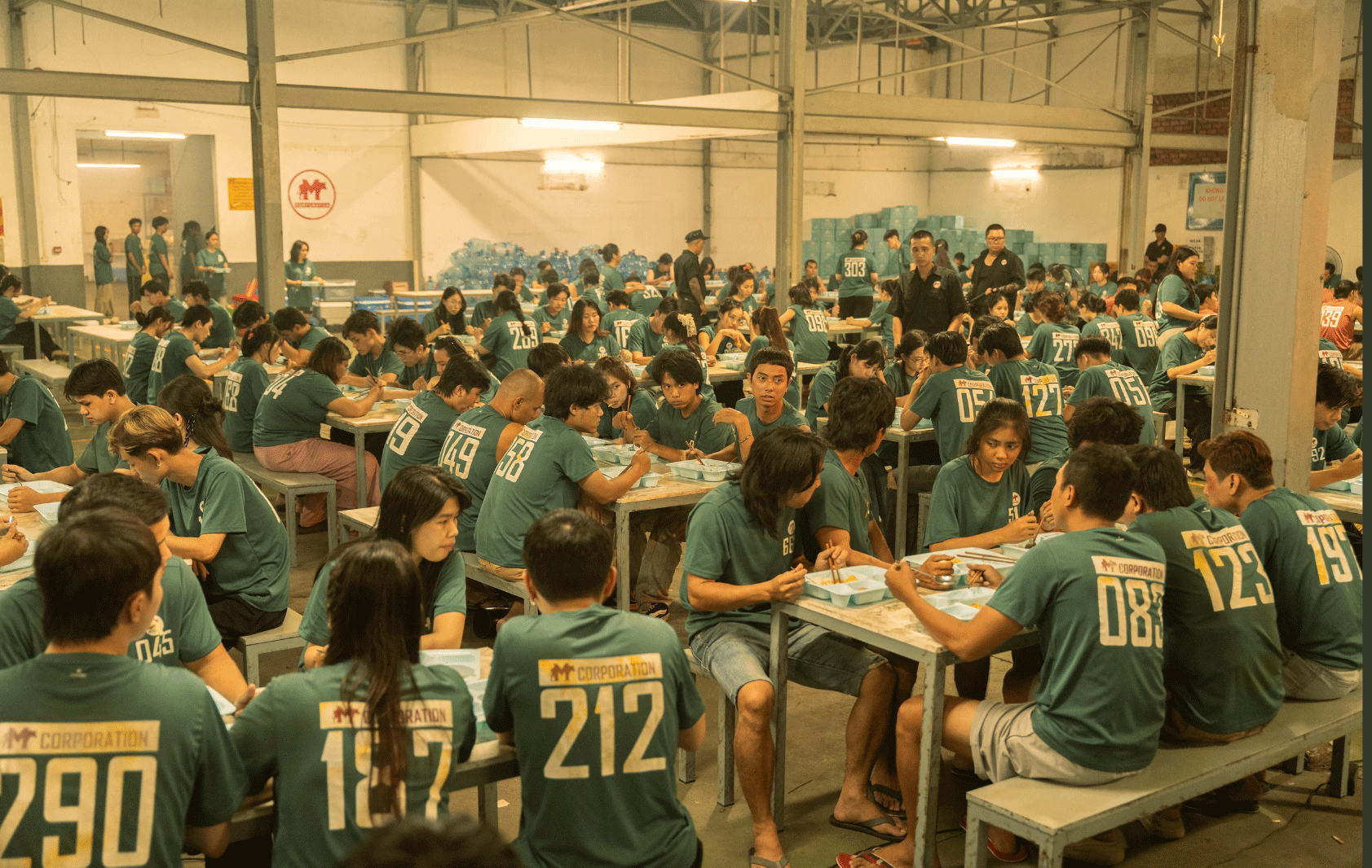 Giải mã hiện tượng bất ngờ của phòng vé Việt- Ảnh 1.