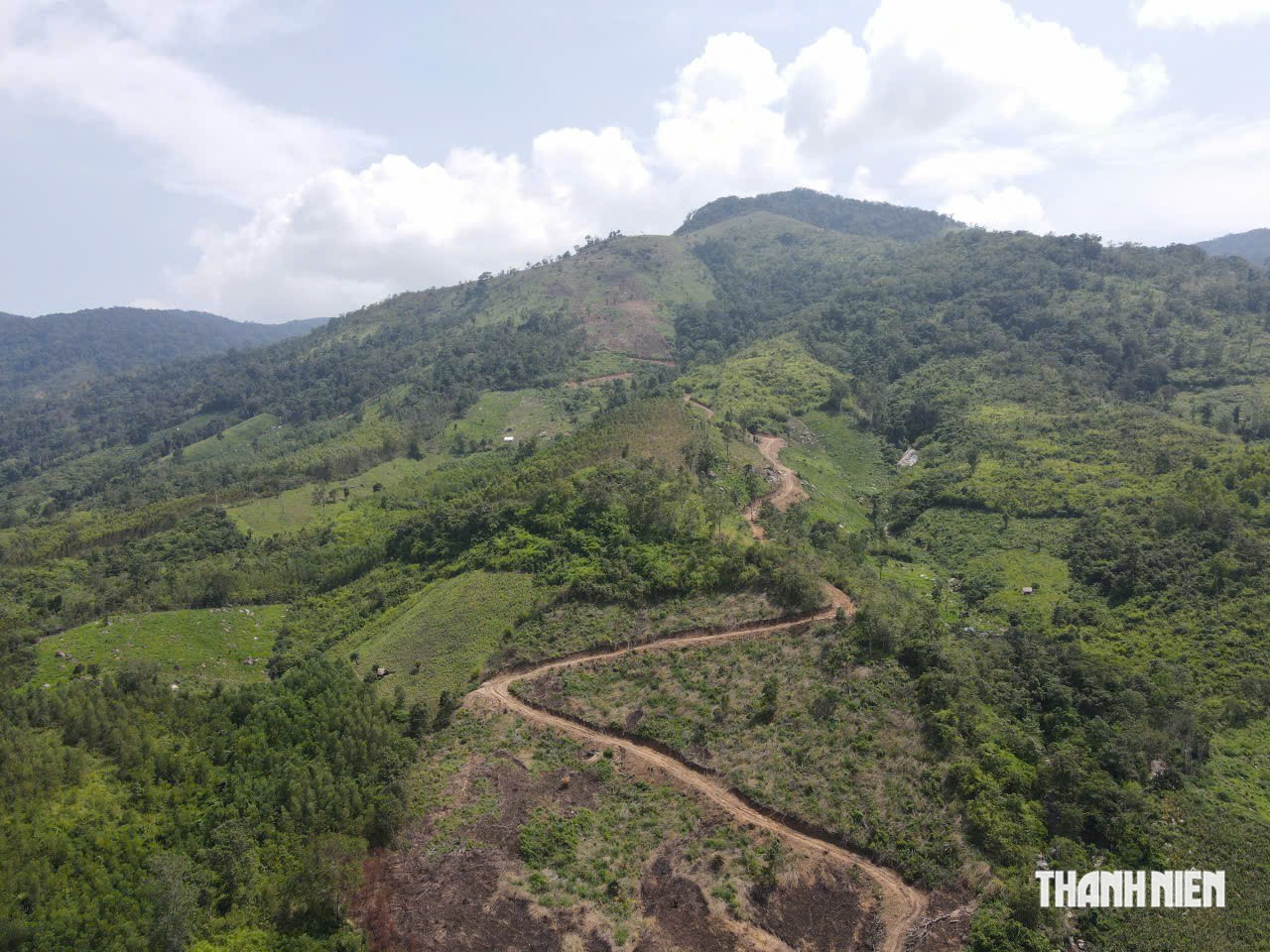 Gia Lai thanh tra việc giao đất, giao rừng ở xã Sró- Ảnh 1.