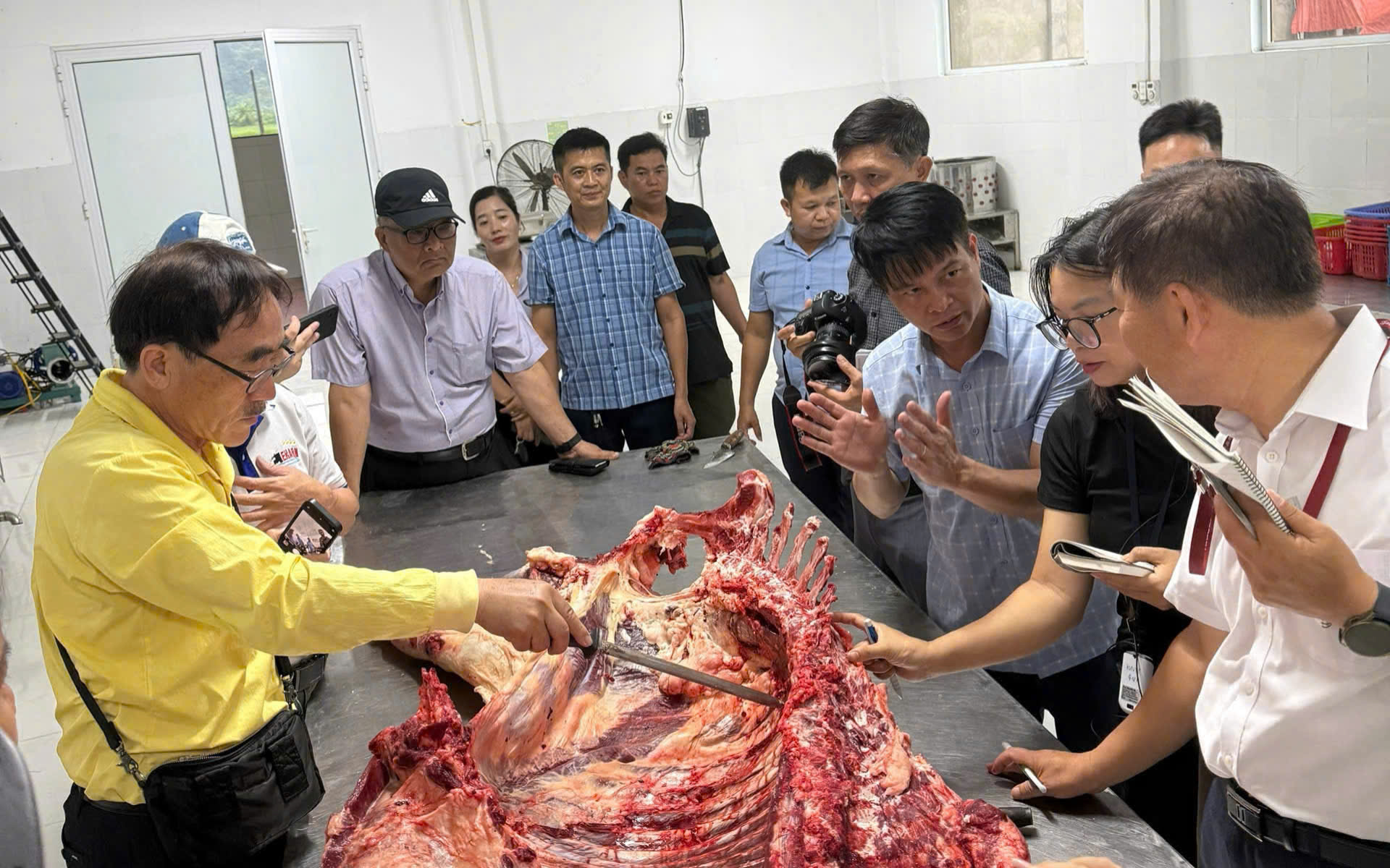 Đưa thịt bò H'Mông thành thương hiệu quốc gia- Ảnh 3.