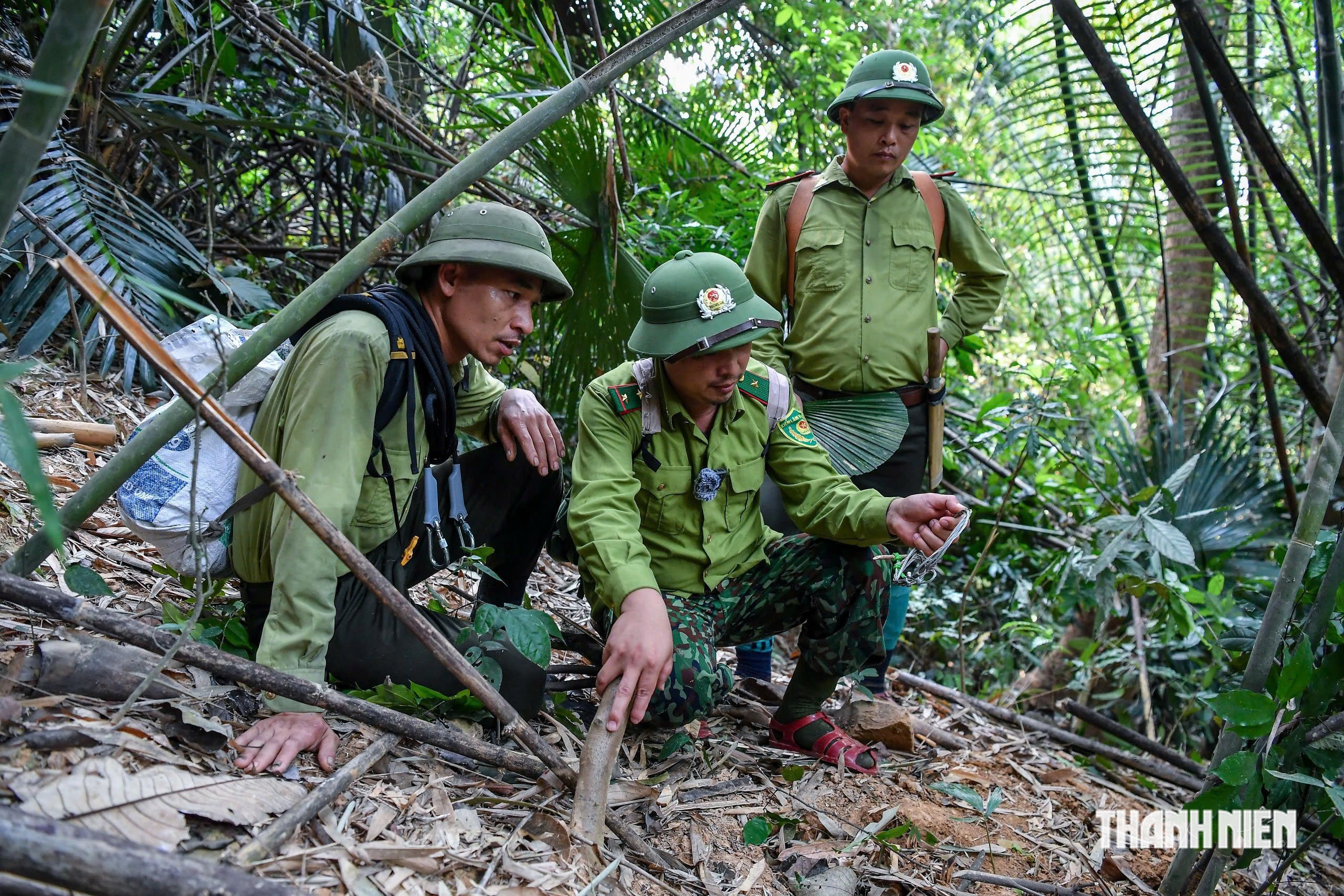 Rừng chở che người - Ảnh 4.