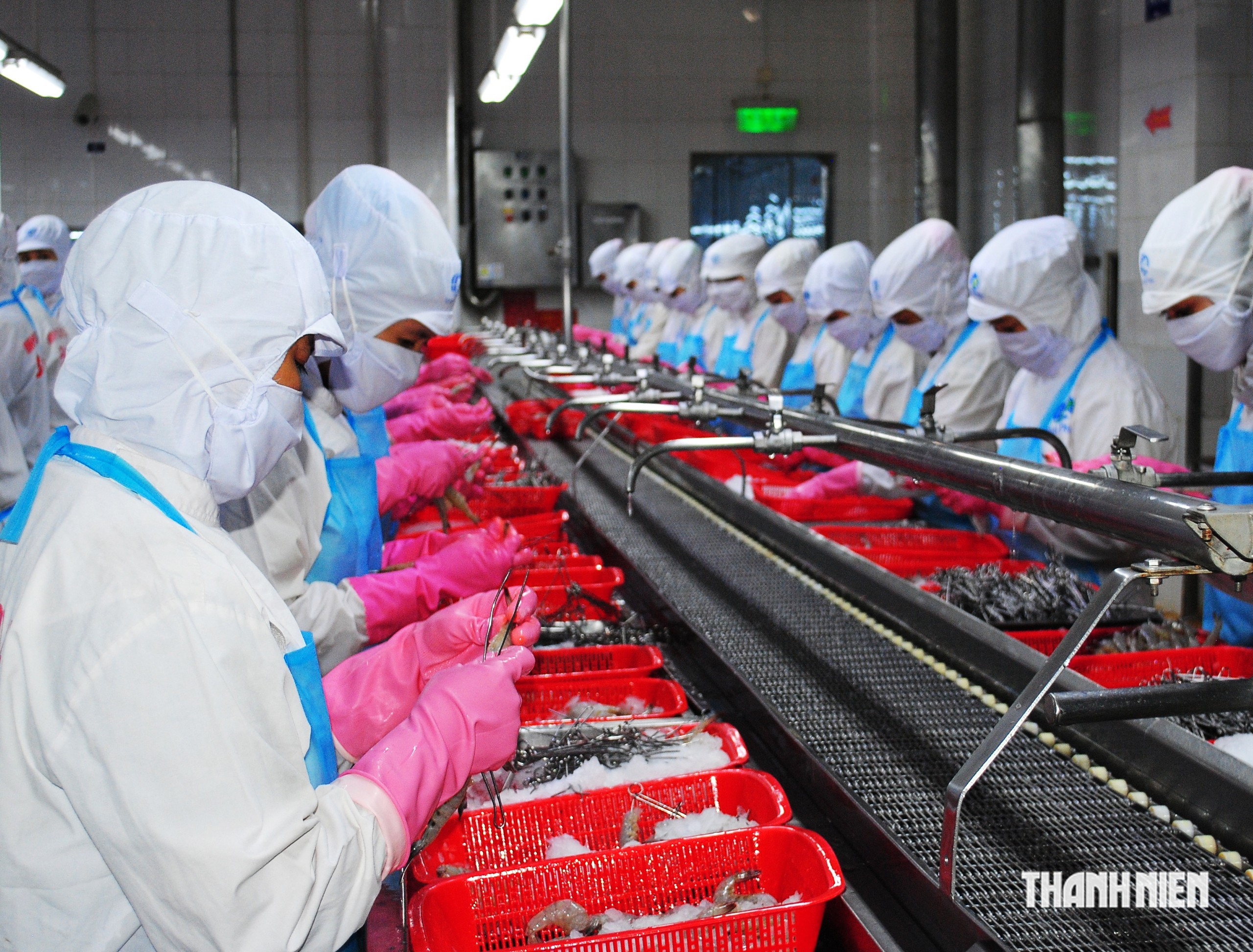 Cà Mau dành hơn 31 tỉ đồng tổ chức Festival Tôm và ngày hội văn hóa- Ảnh 2.