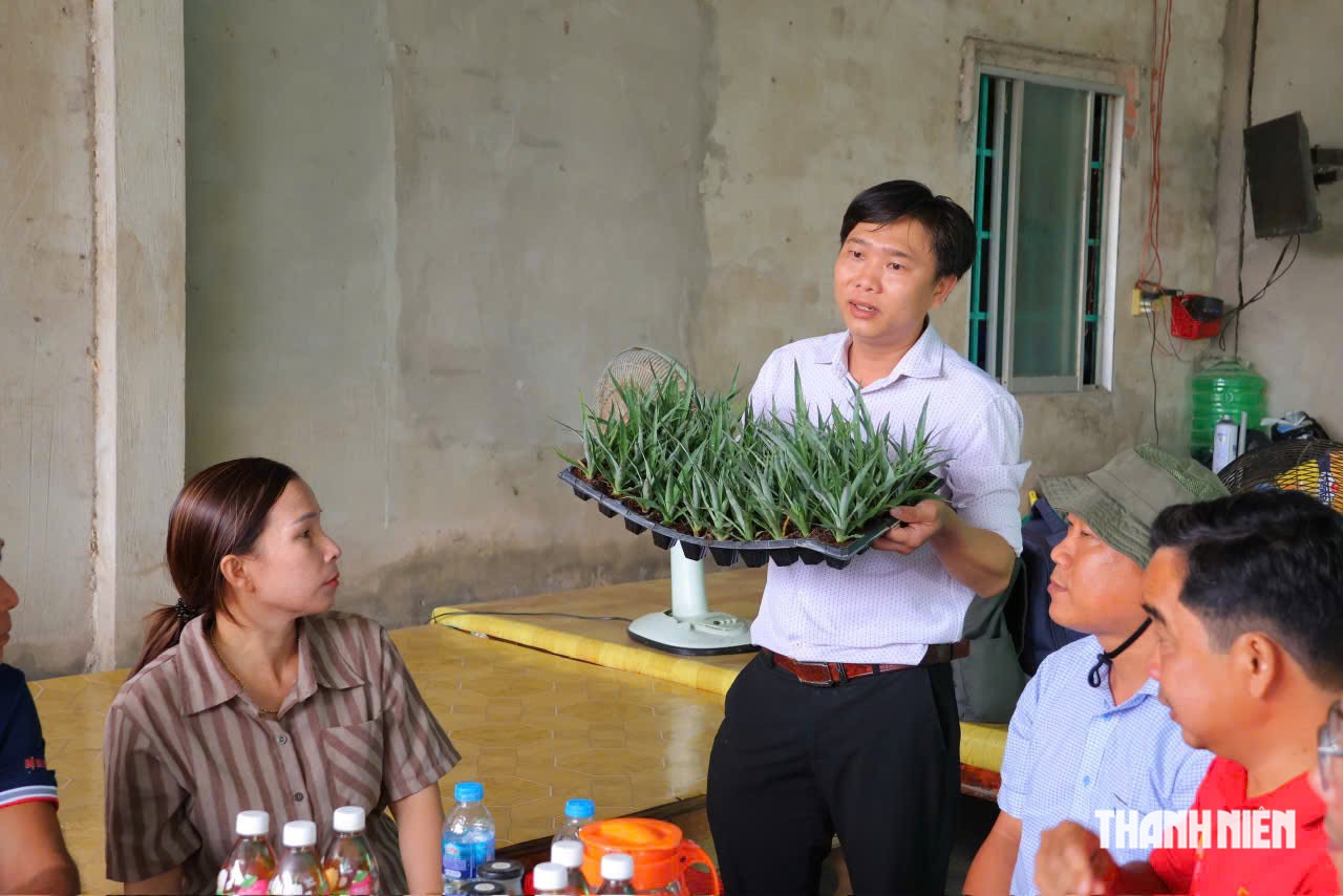 Đưa công nghệ vào cây giống, nâng tầm nông sản quê nhà - Ảnh 3.