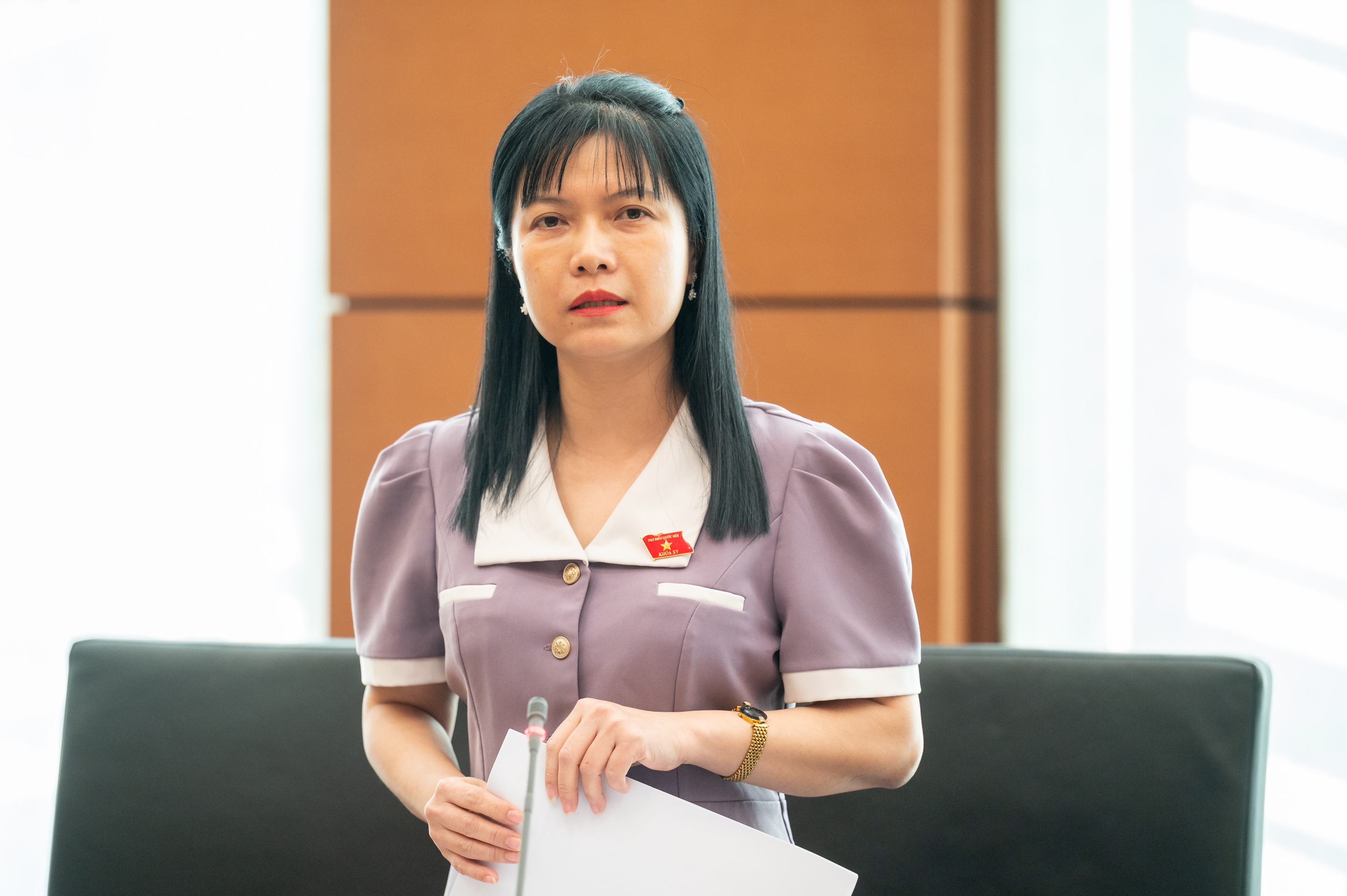 Đại biểu Quốc hội đề nghị chấm dứt 'giữ đất chờ tăng giá' - Ảnh 1.