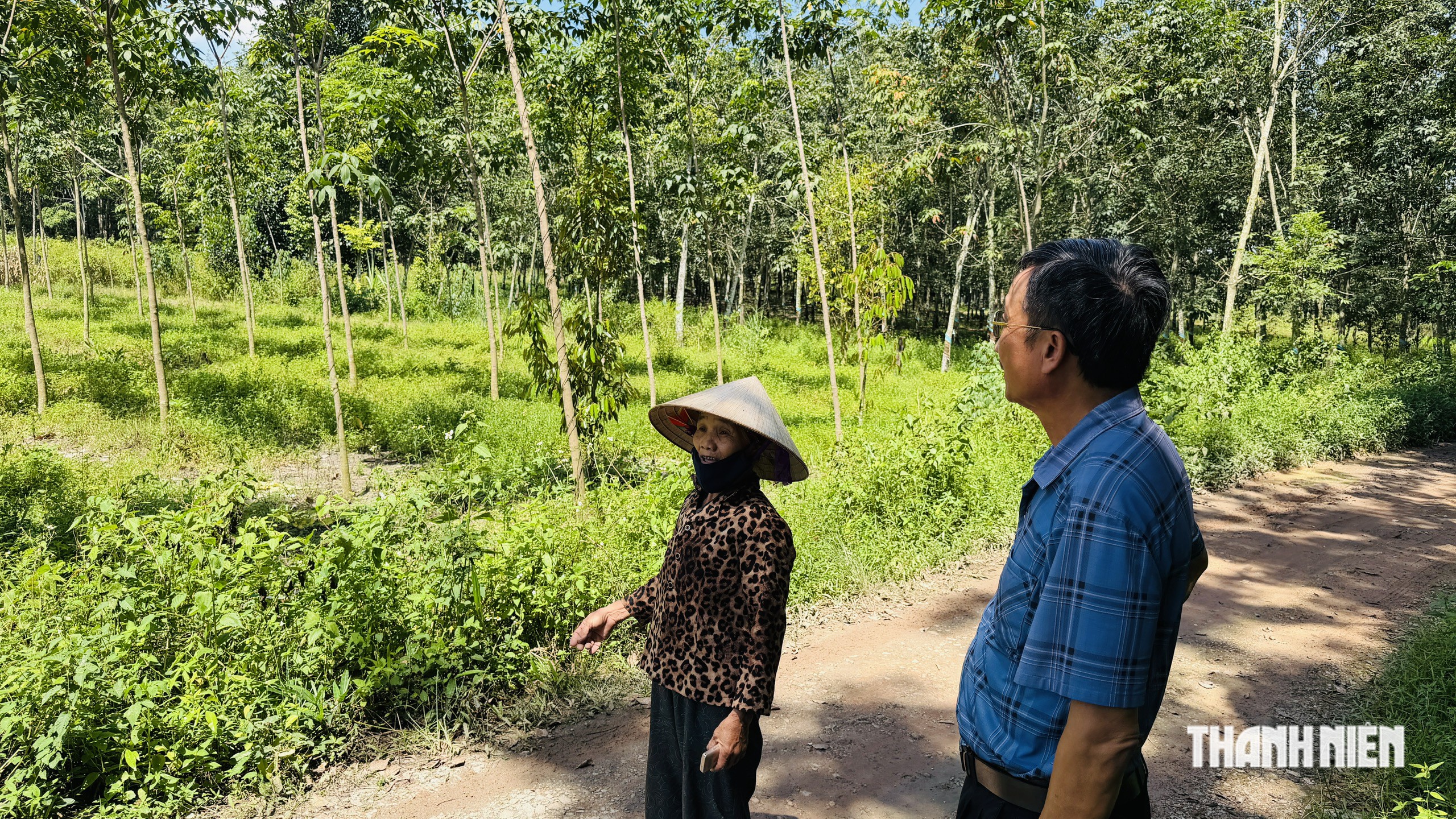 Vụ cấp nhầm sổ đỏ ở TP.HCM: Luật sư n&oacute;i g&igrave;? - Ảnh 2.