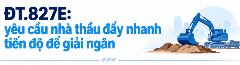 - Ảnh 11.