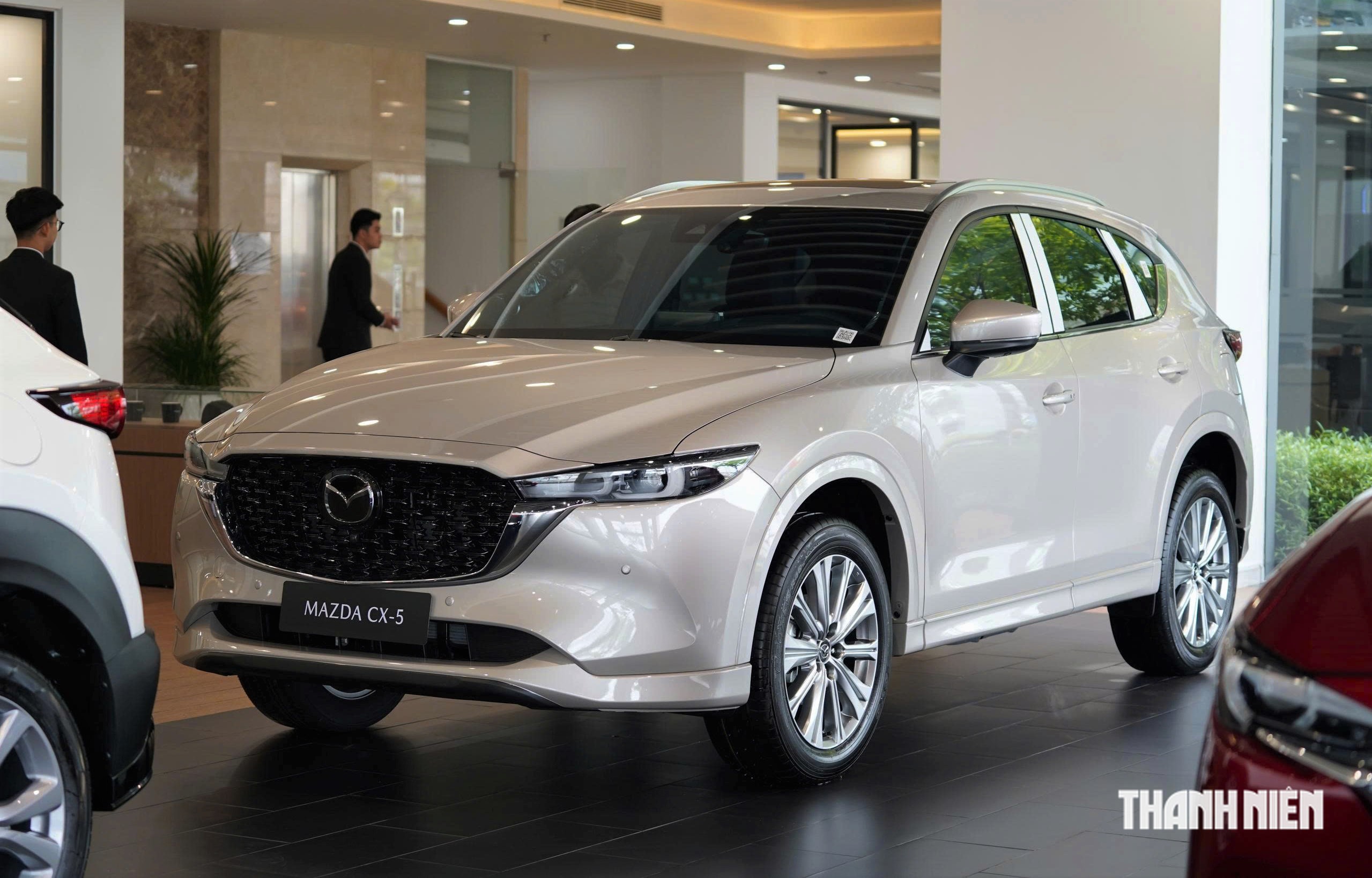 SUV, crossover cỡ trung: Ford Territory lại tăng tốc, áp sát Mazda CX-5 - Ảnh 3.
