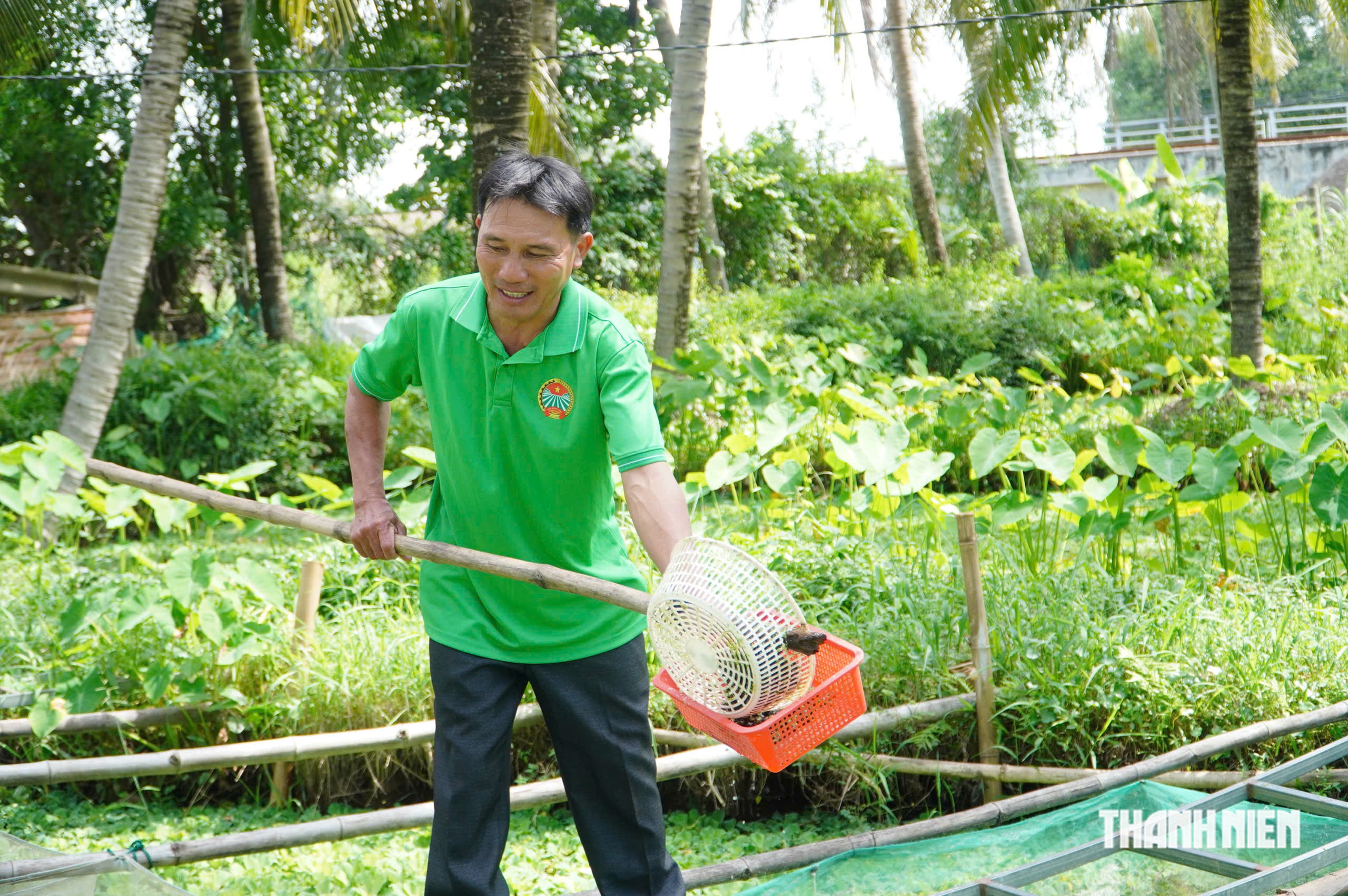 Nuôi ốc bươu bằng thảo dược, anh nông dân thu 600 triệu đồng mỗi năm- Ảnh 1.