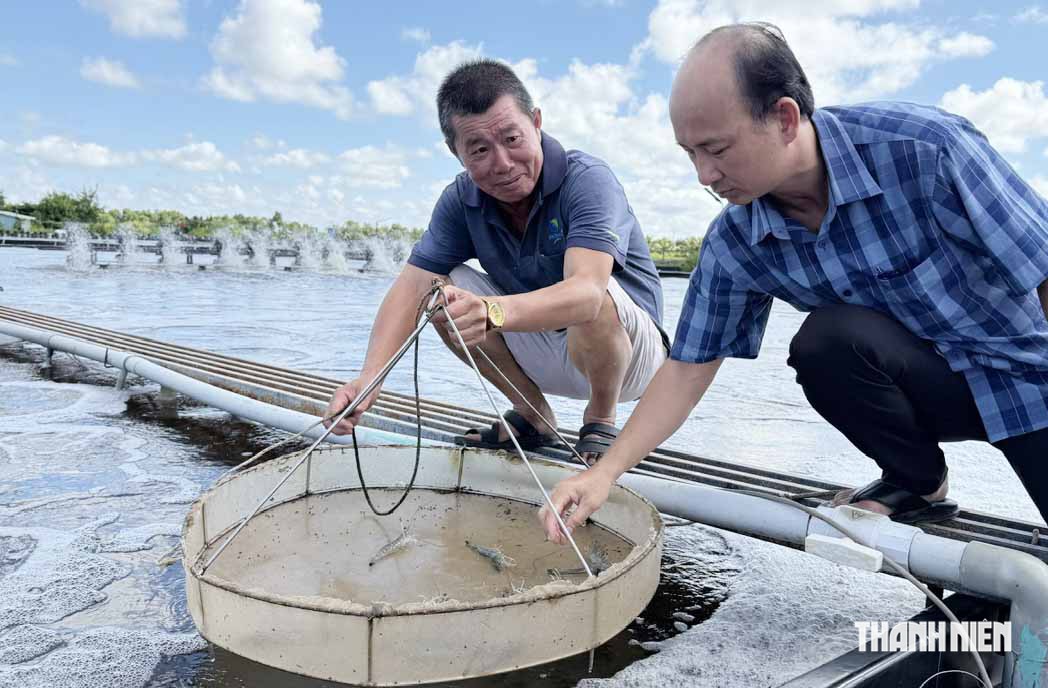 Người thợ điện s&aacute;ng chế hồ nu&ocirc;i t&ocirc;m tr&ecirc;n... mặt đất - Ảnh 1.