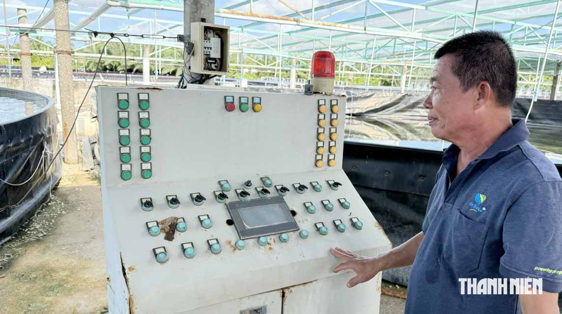 Người thợ điện s&aacute;ng chế hồ nu&ocirc;i t&ocirc;m tr&ecirc;n... mặt đất - Ảnh 4.