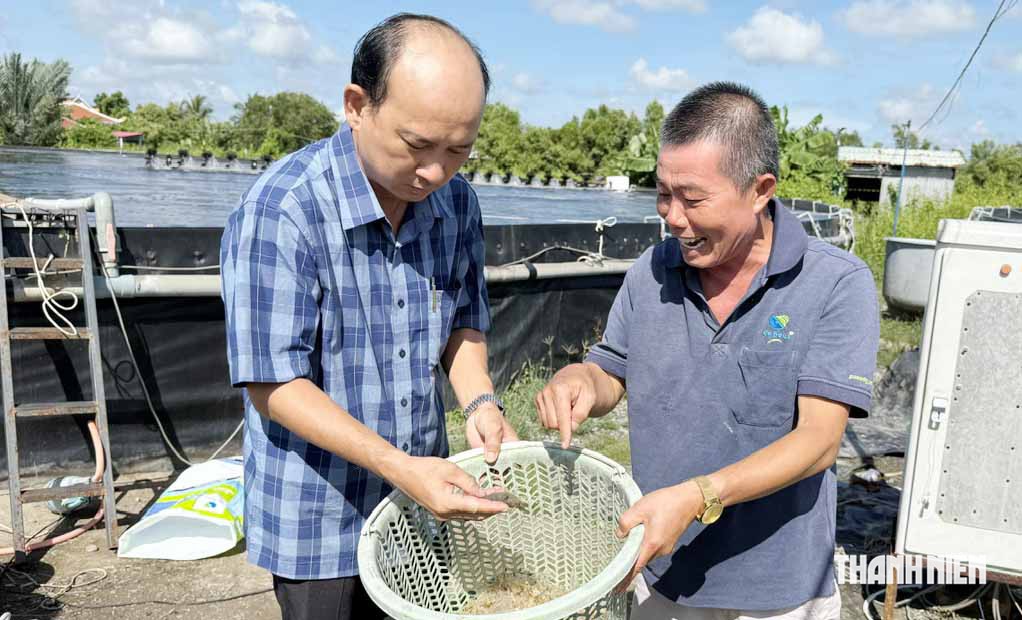 Người thợ điện s&aacute;ng chế hồ nu&ocirc;i t&ocirc;m tr&ecirc;n... mặt đất - Ảnh 5.