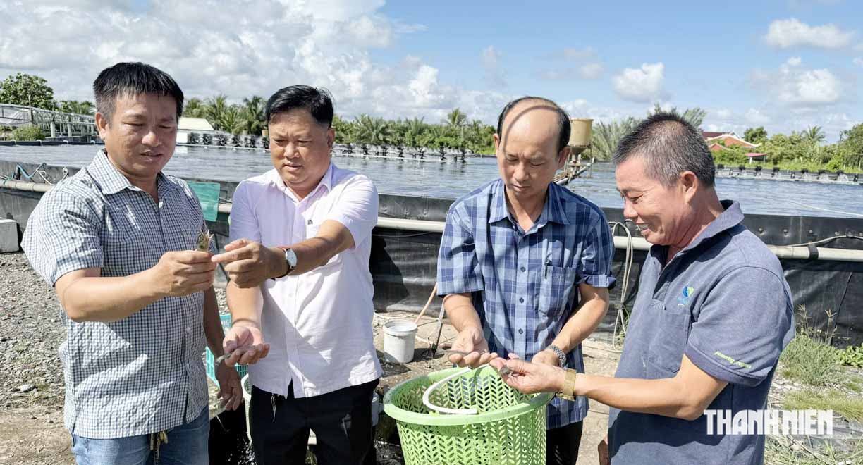 Người thợ điện s&aacute;ng chế hồ nu&ocirc;i t&ocirc;m tr&ecirc;n... mặt đất - Ảnh 8.