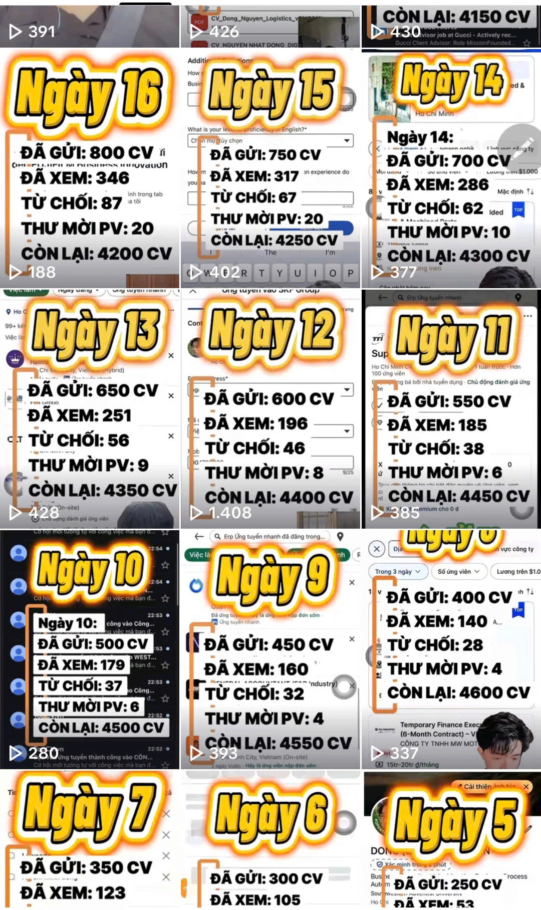 Cựu du học sinh Mỹ gửi gần 1.000 CV xin việc - Ảnh 2.