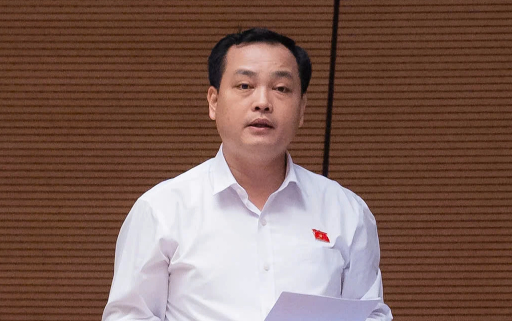 Đại biểu: Không thể cứ nhận tội, bồi thường tiền là được giảm án sâu - Ảnh 2.