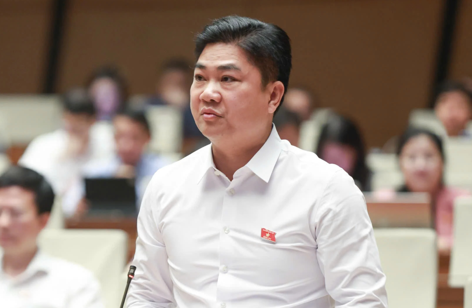 Đại biểu: Không thể cứ nhận tội, bồi thường tiền là được giảm án sâu - Ảnh 1.