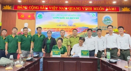 Thảo cầm viên Sài Gòn đưa 21 con trĩ sao về Vườn quốc gia Bạch Mã - Ảnh 1.