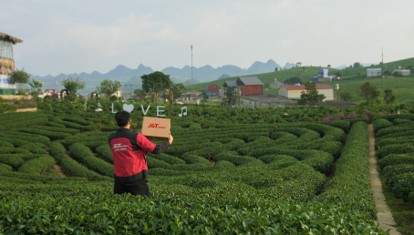 J&T Express hỗ trợ hộ kinh doanh chè Thái Nguyên từ quản lý đơn đến giao nhận - Ảnh 2.