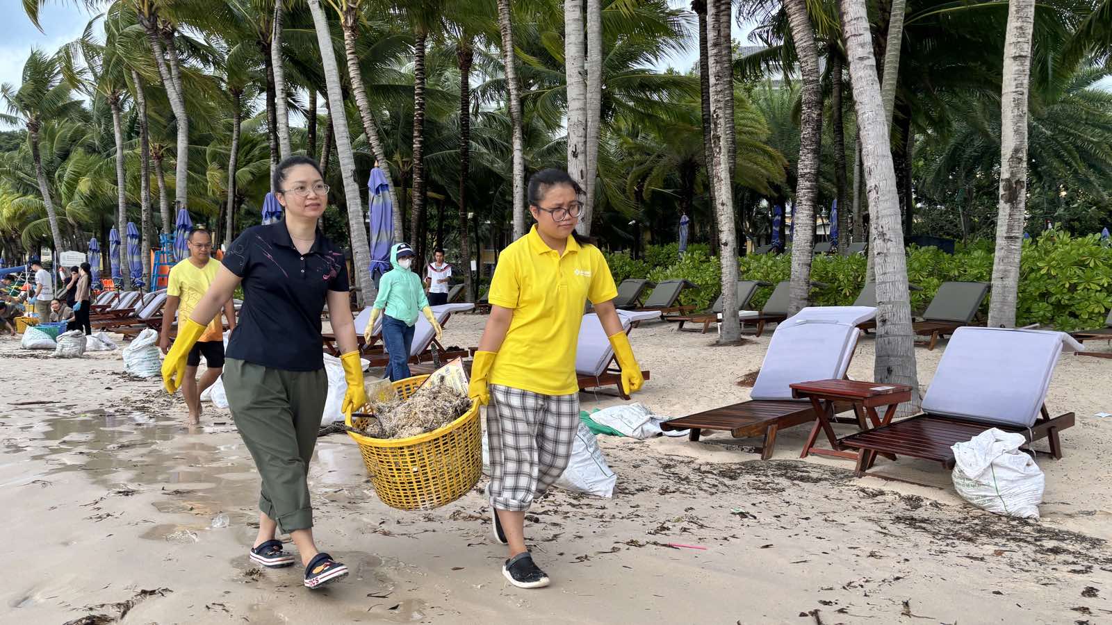 Du kh&aacute;ch quốc tế chung tay l&agrave;m sạch B&atilde;i Kem m&ugrave;a gi&oacute; chướng- Ảnh 2.