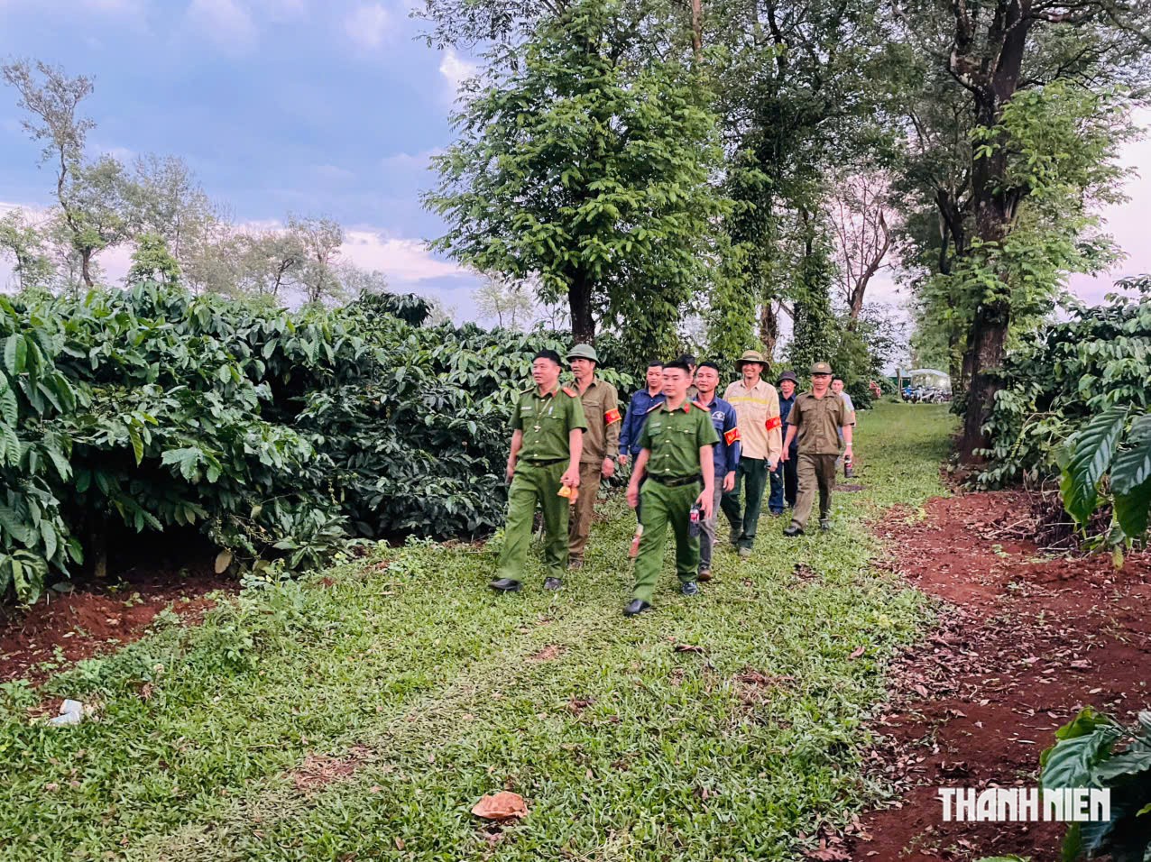 Căng mình giữ cà phê mùa thu hoạch - Ảnh 2.