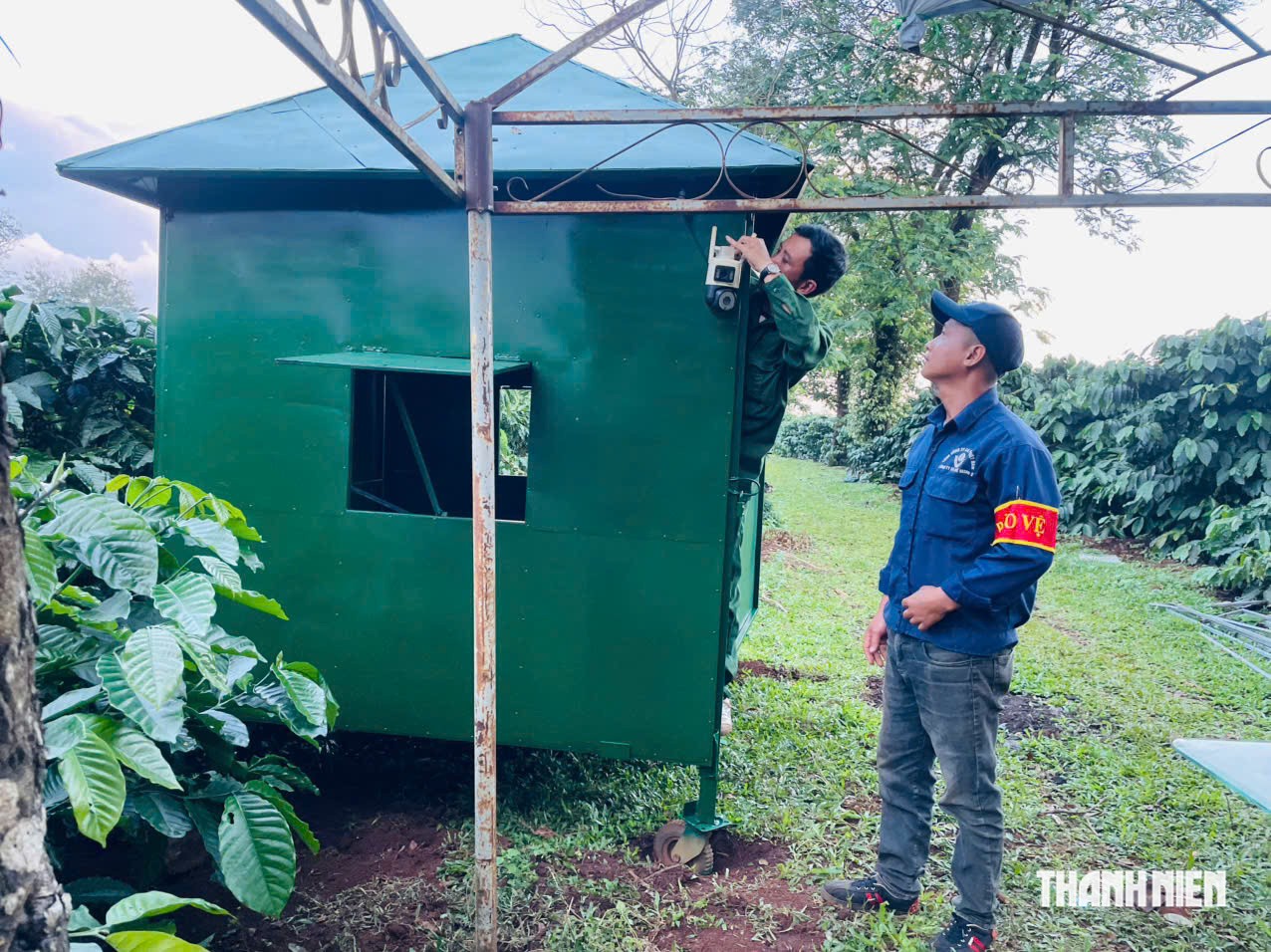 Căng mình giữ cà phê mùa thu hoạch - Ảnh 3.