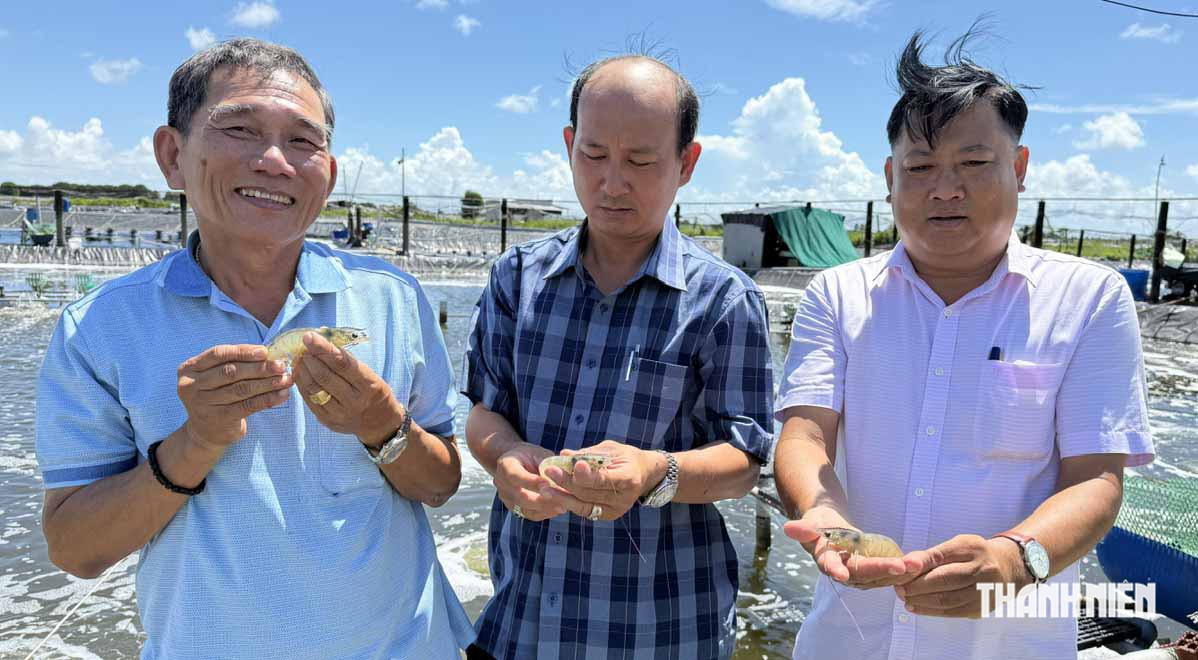 Ở C&agrave; Mau c&oacute; cậu b&eacute; mồ c&ocirc;i th&agrave;nh n&ocirc;ng d&acirc;n xuất sắc Việt Nam- Ảnh 2.