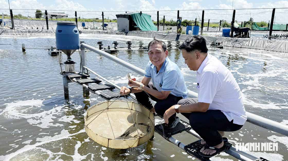 Ở C&agrave; Mau c&oacute; cậu b&eacute; mồ c&ocirc;i th&agrave;nh n&ocirc;ng d&acirc;n xuất sắc Việt Nam- Ảnh 4.