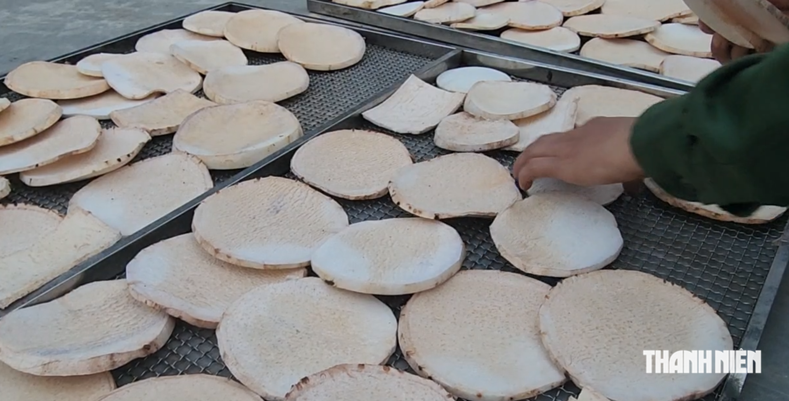 Cùng sống xanh 172: Khám phá rừng dược liệu dân gian chăm sóc sức khỏe cộng đồng từ thung lũng Muông- Ảnh 1.