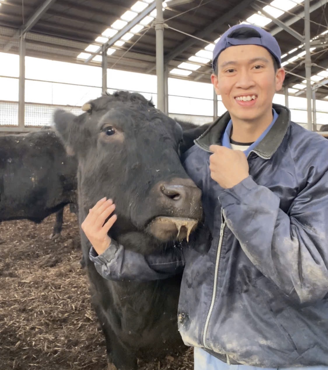 Chàng trai Việt cả ngày ‘bẻ cổ’, massage, chăm sóc bò Wagyu ở Nhật - Ảnh 4.