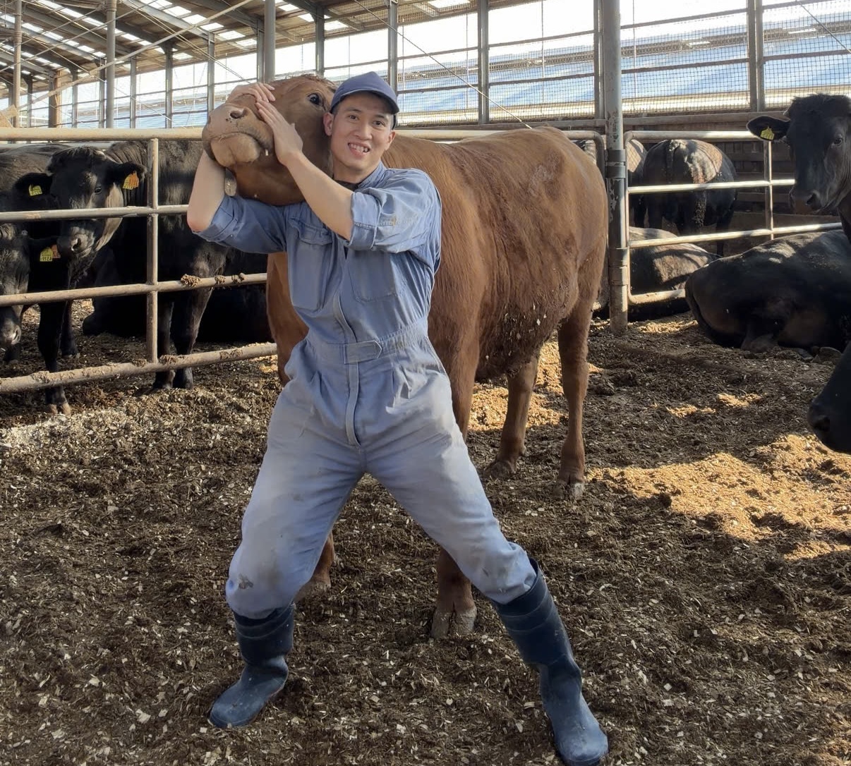 Chàng trai Việt cả ngày ‘bẻ cổ’, massage, chăm sóc bò Wagyu ở Nhật - Ảnh 5.