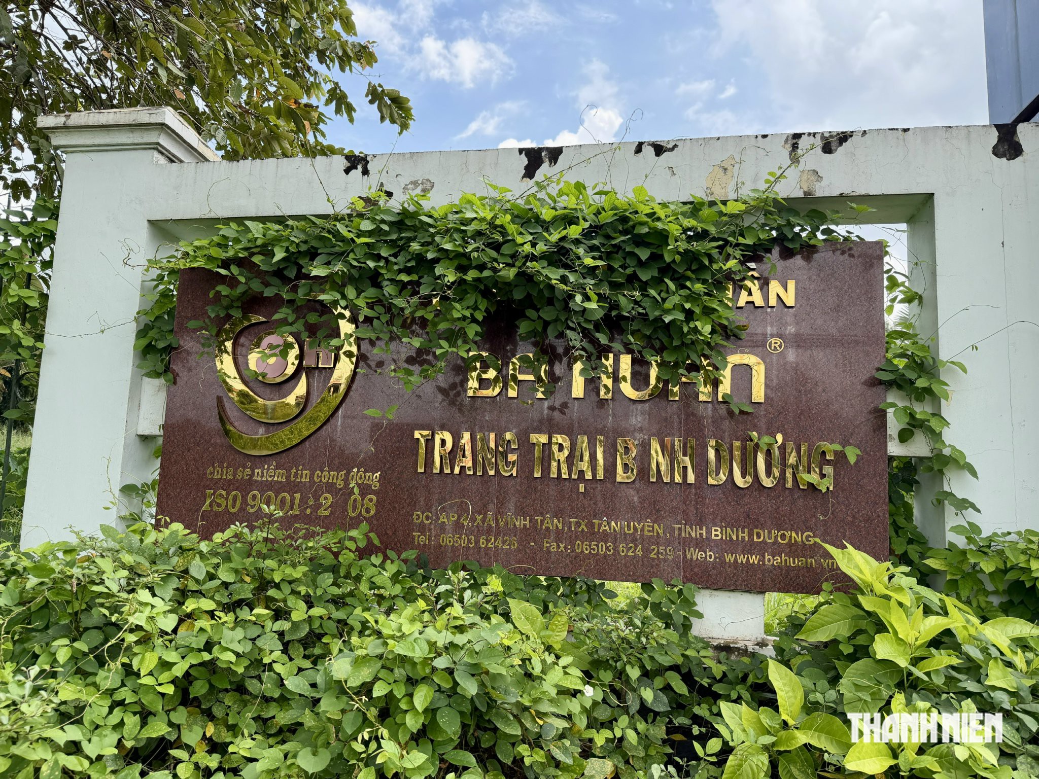 Toàn cảnh 22 dãy chuồng gà của Công ty CP Ba Huân bị ngân hàng rao bán - Ảnh 3.