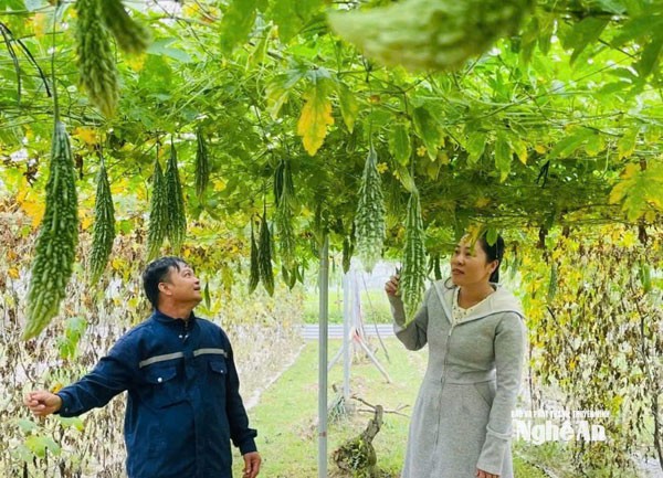 24 năm đưa vốn ch&iacute;nh s&aacute;ch về gần người d&acirc;n Đ&ocirc; Lương - Ảnh 2.