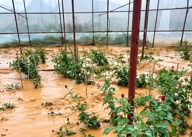 Mưa lũ liên tiếp 5 ngày ở Lâm Đồng gây thiệt hại khoảng 16 tỉ đồng- Ảnh 5.