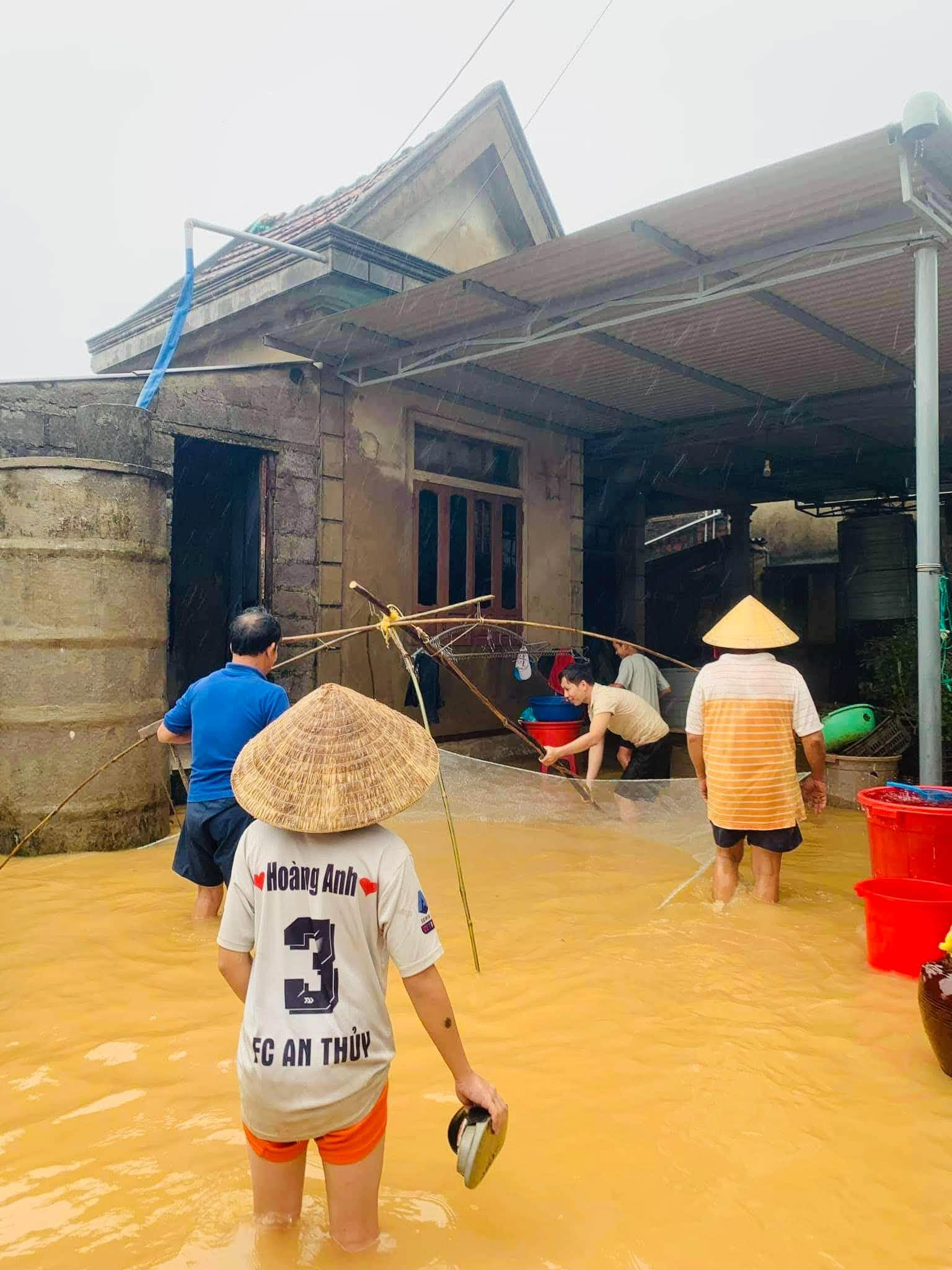 Ngon như cá nước lụt Lệ Thủy- Ảnh 2.