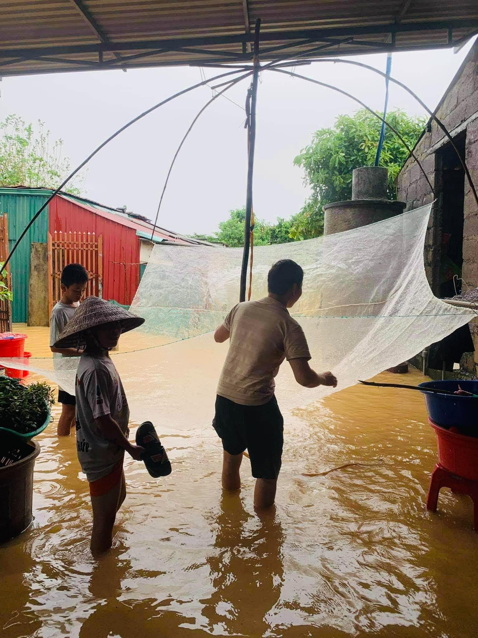 Ngon như cá nước lụt Lệ Thủy- Ảnh 3.