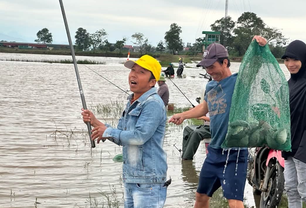 Ngon như cá nước lụt Lệ Thủy- Ảnh 5.