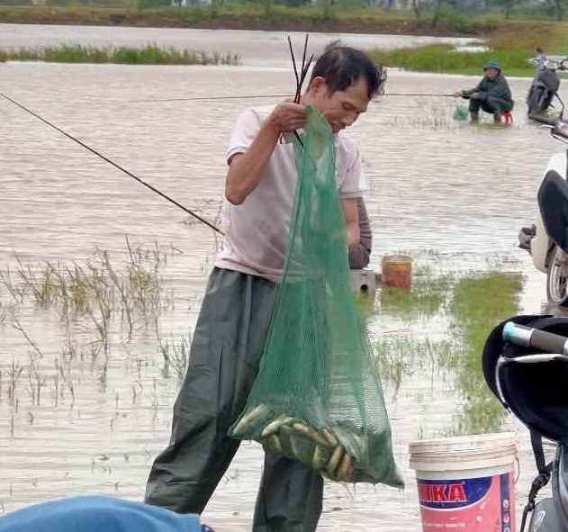 Ngon như cá nước lụt Lệ Thủy- Ảnh 4.