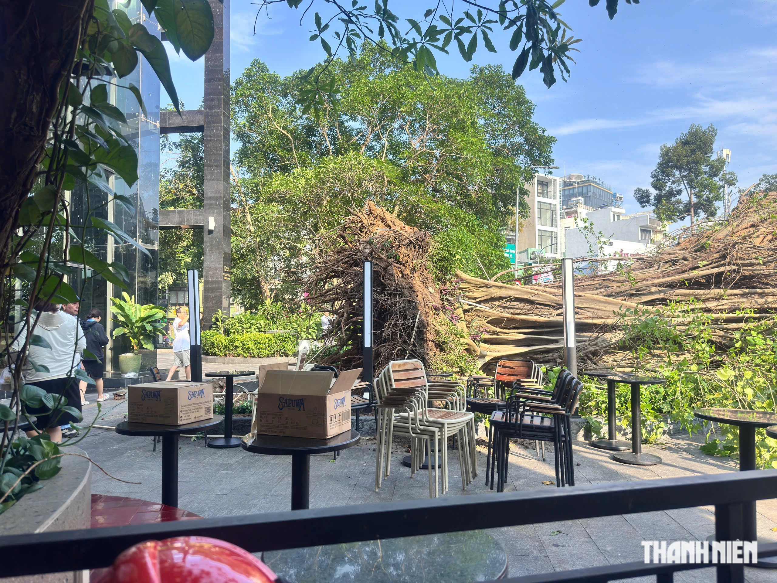 Cây bật gốc chắn ngang đường trung tâm TP.HCM, giao thông ùn tắc nghiêm trọng - Ảnh 1.
