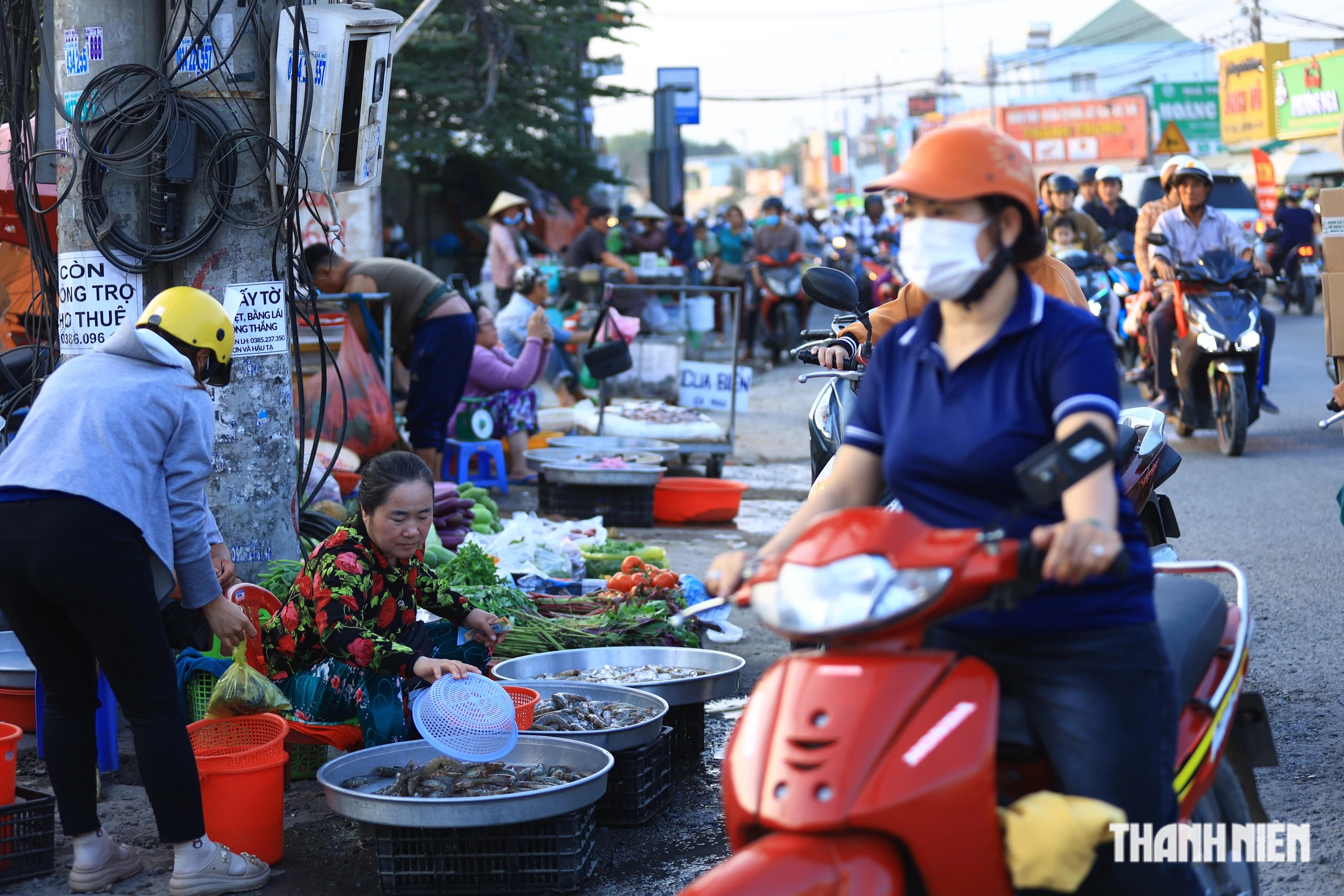 TP.HCM kiểm tra toàn bộ bếp ăn trường học trong tháng 10, đầu tháng 11 - Ảnh 2.