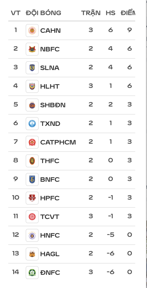Bảng xếp hạng V-League mới nhất: Hà Tĩnh bất ngờ vươn lên tốp 4, Thể Công Viettel chìm rất sâu- Ảnh 3.