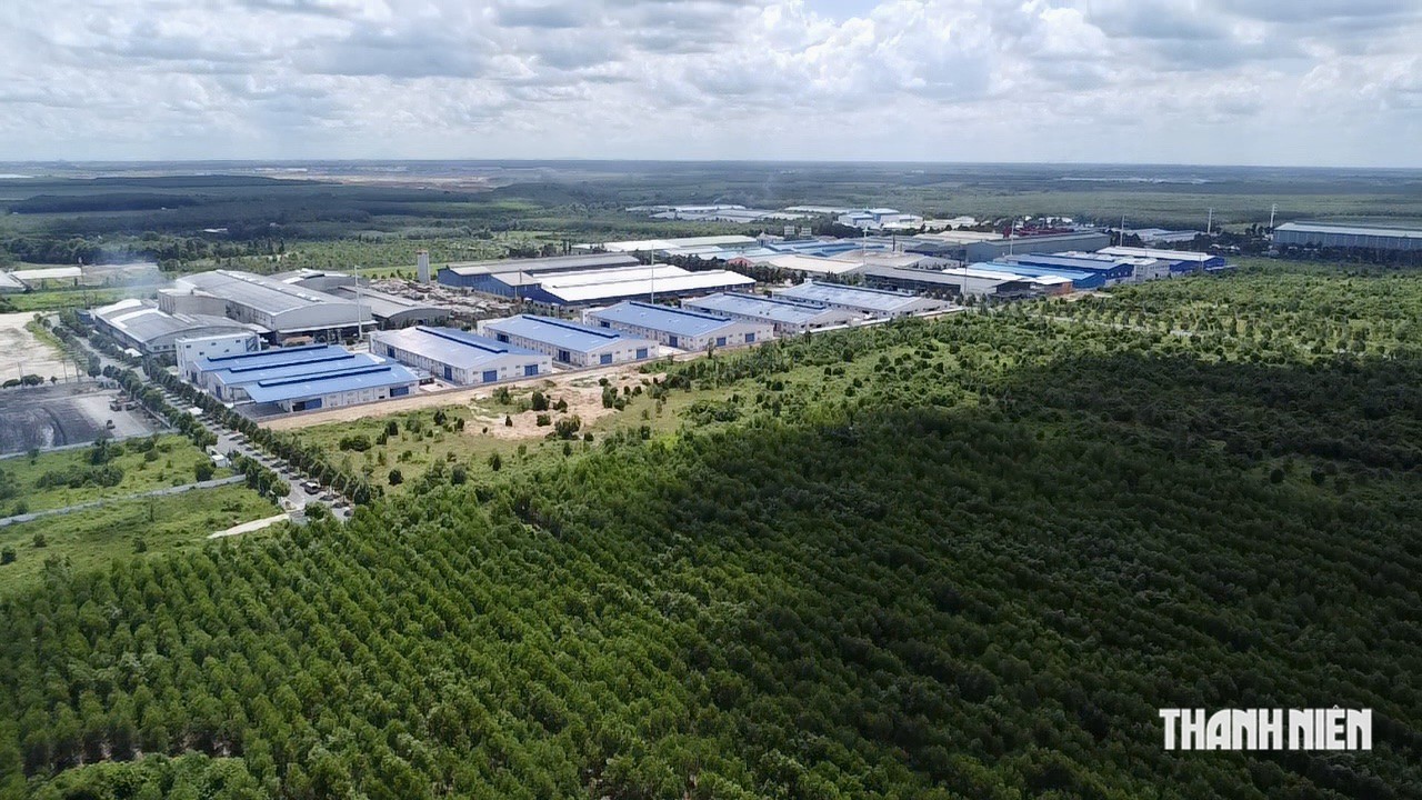 Đề xuất tạm dừng quy hoạch KCN Bắc Tân Uyên 2 ở TP.HCM - Ảnh 1.